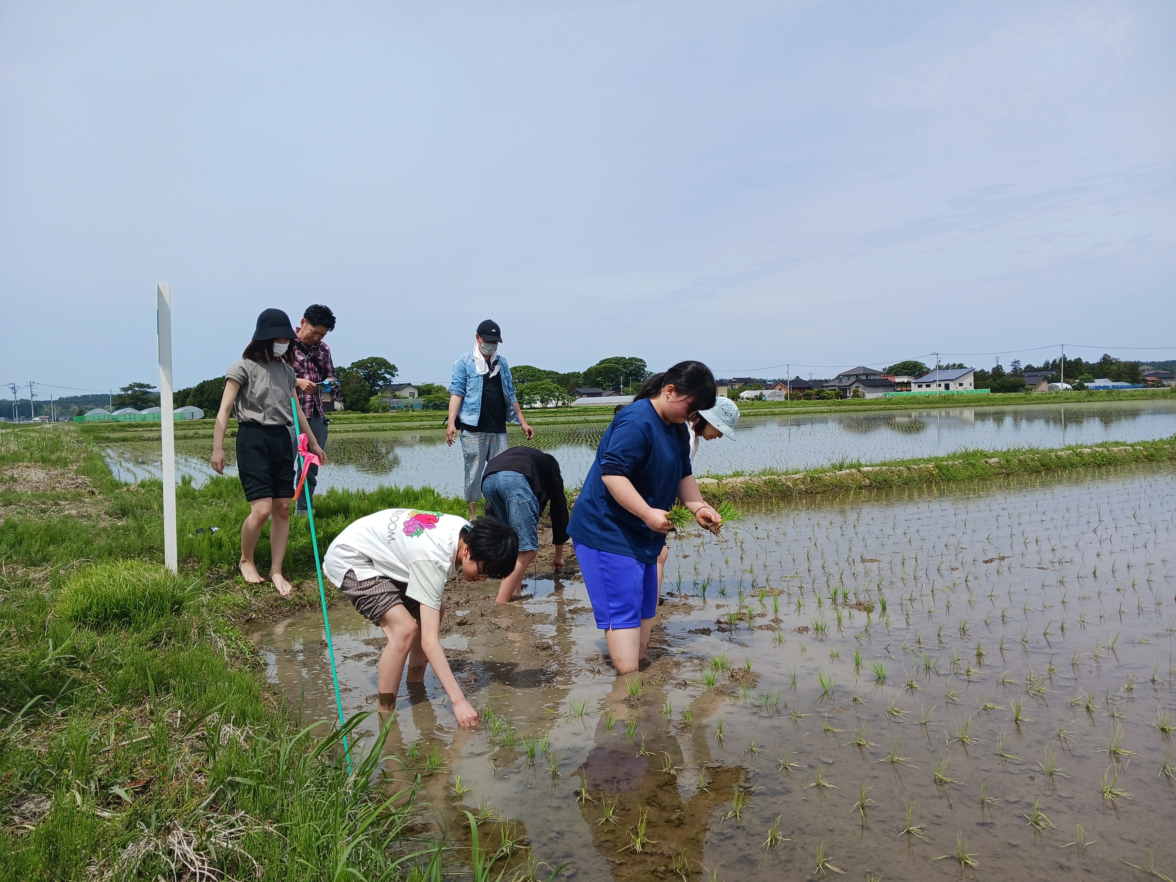①田植え_20240519_100238.jpg