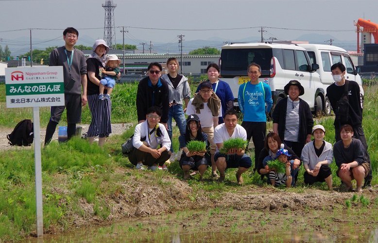 田植え(全体.JPG